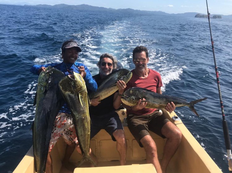 Things To Do Screen Shot 2018-11-29 at 10.47.52 AM.jpg